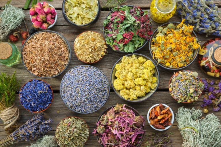 Learn Ayurveda: A Comprehensive Guide to Ayurvedic Principles and Practices