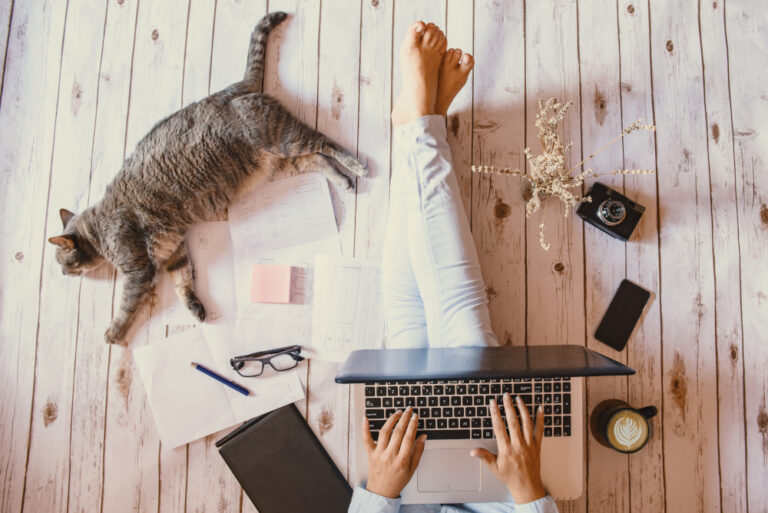 Essential Oils Safe for Cats