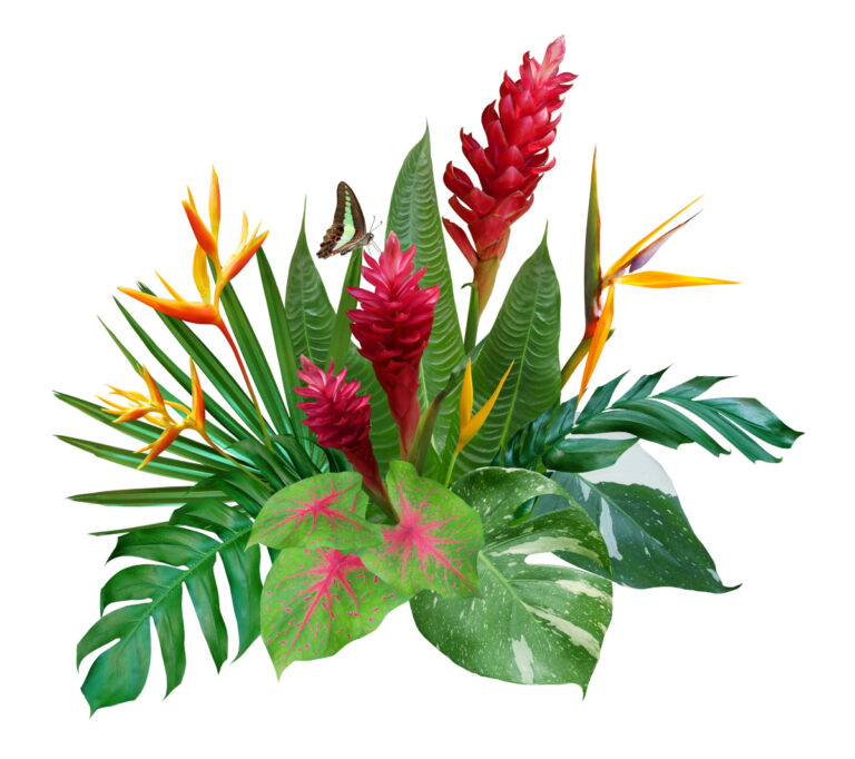Bring Paradise Home: Create Jaw-Dropping Tropical Flower Arrangements in Minutes!